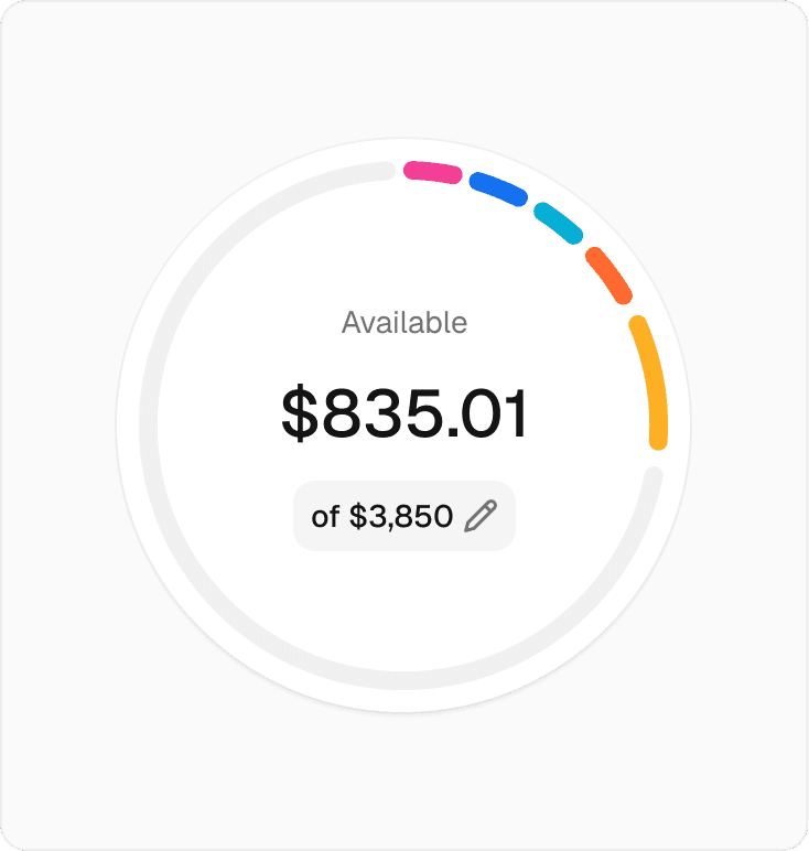 Budget setup and customization interface